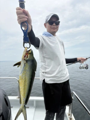 ALLRAIDの2025年8月13日(水)1枚目の写真