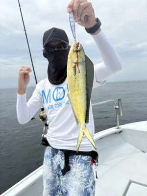 ALLRAIDの2025年8月13日(水)2枚目の写真