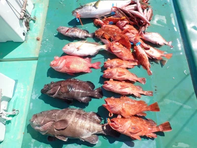 安延遊漁　建鳳丸の2025年8月14日(木)2枚目の写真