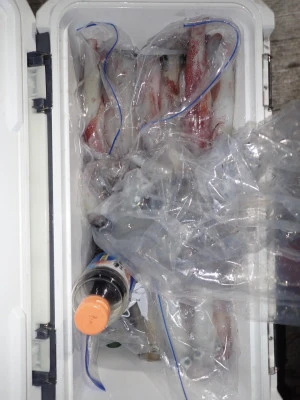 安延遊漁　建鳳丸の2025年8月14日(木)4枚目の写真