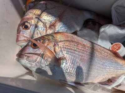 宮田丸の2025年8月15日(金)3枚目の写真