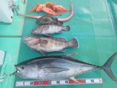 安延遊漁　建鳳丸の2025年8月16日(土)3枚目の写真