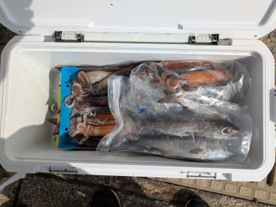 渡辺丸の2025年8月17日(日)2枚目の写真