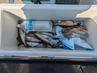 渡辺丸の2025年8月18日(月)1枚目の写真