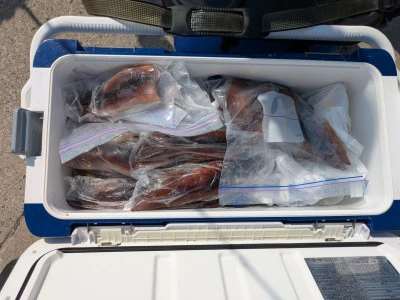 渡辺丸の2025年8月18日(月)2枚目の写真