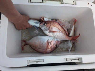 宮田丸の2025年8月17日(日)3枚目の写真