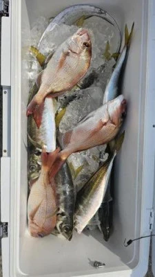 長孝丸の2024年9月7日(土)3枚目の写真