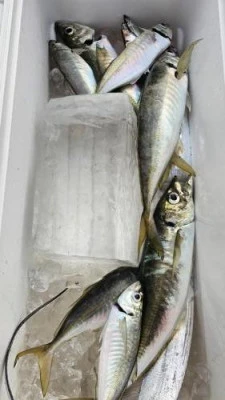 長孝丸の2024年9月7日(土)4枚目の写真