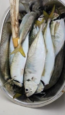 長孝丸の2024年9月7日(土)5枚目の写真