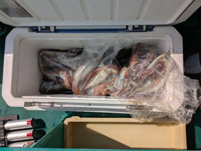 渡辺丸の2025年8月19日(火)1枚目の写真