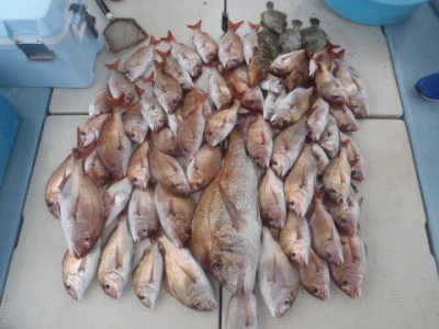 まお丸の2025年8月9日(土)1枚目の写真