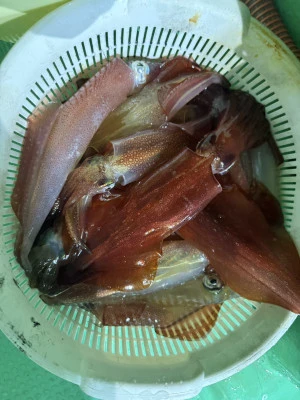 安延遊漁　建鳳丸の2025年8月19日(火)2枚目の写真