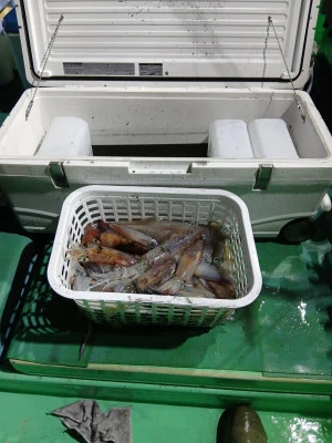 安延遊漁　建鳳丸の2025年8月19日(火)3枚目の写真