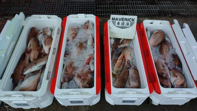 ヨシダマリンの2025年8月9日(土)1枚目の写真