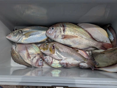 ヨシダマリンの2025年8月12日(火)1枚目の写真