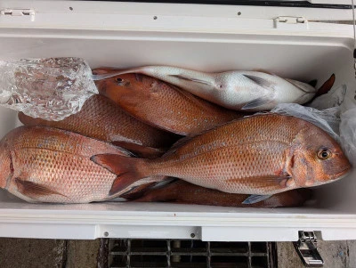 ヨシダマリンの2025年8月12日(火)2枚目の写真