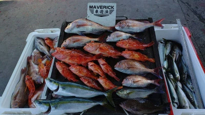 ヨシダマリンの2025年8月14日(木)1枚目の写真