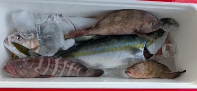 ヨシダマリンの2025年8月14日(木)3枚目の写真