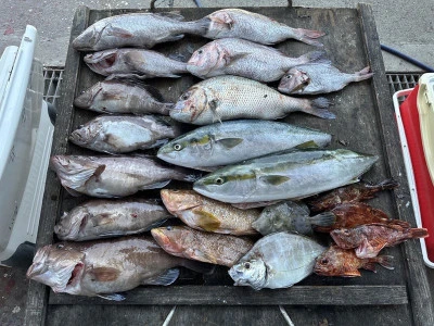 ヨシダマリンの2025年8月15日(金)1枚目の写真