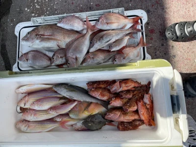 ヨシダマリンの2025年8月16日(土)1枚目の写真