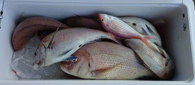 ヨシダマリンの2025年8月16日(土)2枚目の写真