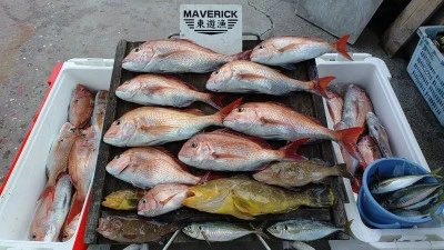 ヨシダマリンの2025年8月17日(日)1枚目の写真