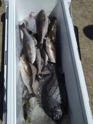 中山総合釣センター・海遊の2025年8月15日(金)4枚目の写真