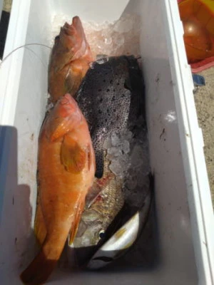 中山総合釣センター・海遊の2025年8月15日(金)5枚目の写真