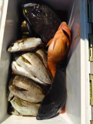 中山総合釣センター・海遊の2025年8月16日(土)3枚目の写真