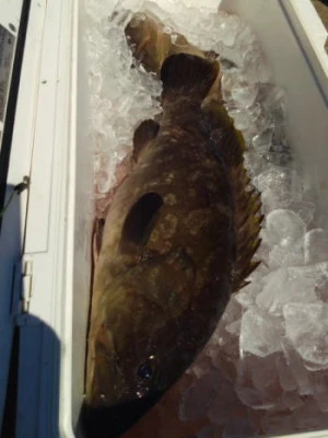 中山総合釣センター・海遊の2025年8月16日(土)4枚目の写真