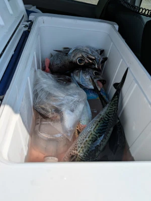 渡辺丸の2025年8月21日(木)1枚目の写真