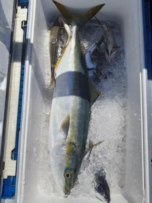 美喜丸の2025年8月19日(火)1枚目の写真