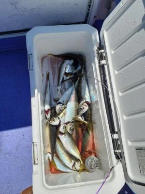 美喜丸の2025年8月19日(火)2枚目の写真