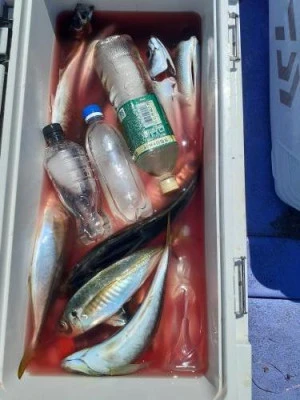 美喜丸の2025年8月19日(火)3枚目の写真