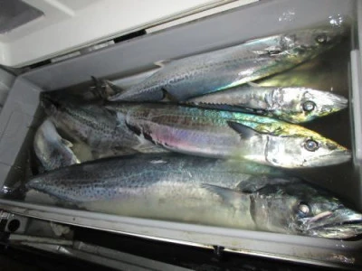 鈴木釣具店の2025年8月19日(火)1枚目の写真