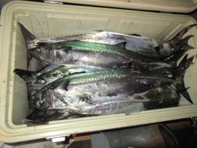 鈴木釣具店の2025年8月19日(火)2枚目の写真