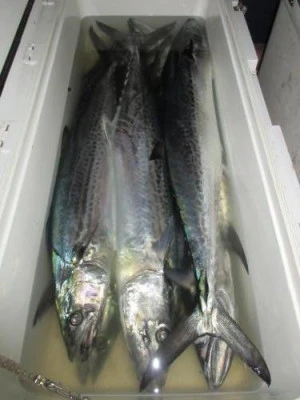 鈴木釣具店の2025年8月19日(火)4枚目の写真