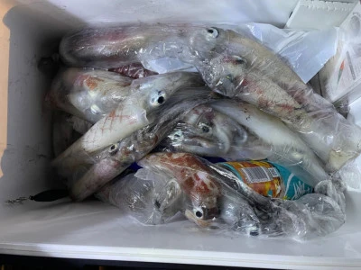 第３ 正幸丸の2025年8月20日(水)3枚目の写真