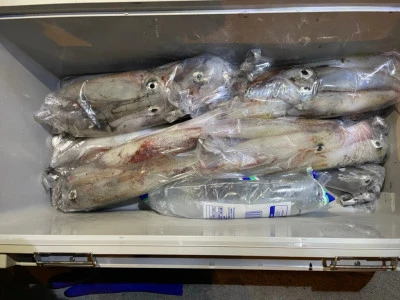 第３ 正幸丸の2025年8月20日(水)4枚目の写真