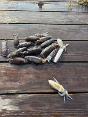 フィッシングセンター 海友の2025年8月23日(土)4枚目の写真