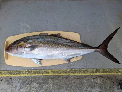 愛海丸の2025年8月24日(日)3枚目の写真