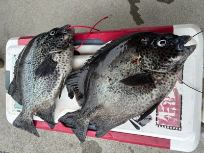 乙島丸の2025年8月10日(日)2枚目の写真