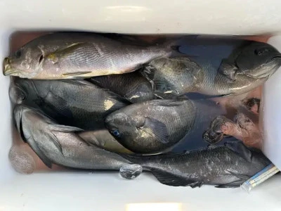 乙島丸の2025年8月19日(火)1枚目の写真