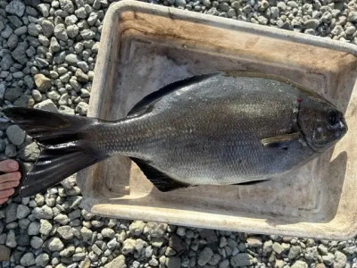 乙島丸の2025年8月19日(火)2枚目の写真