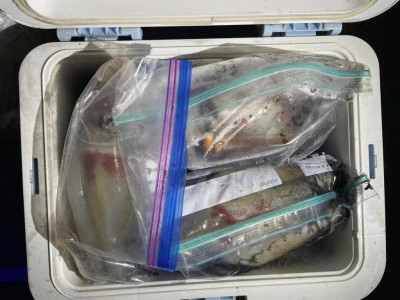 第３ 正幸丸の2025年8月23日(土)1枚目の写真