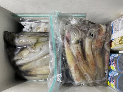 第３ 正幸丸の2025年8月23日(土)2枚目の写真