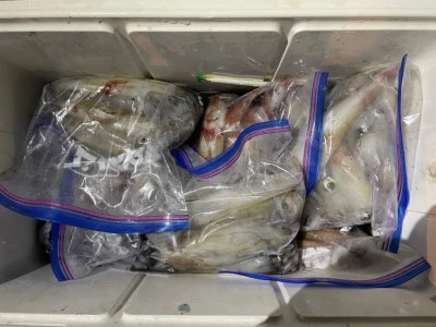 第３ 正幸丸の2025年8月23日(土)3枚目の写真