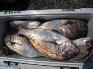 絢美丸の2025年8月15日(金)4枚目の写真