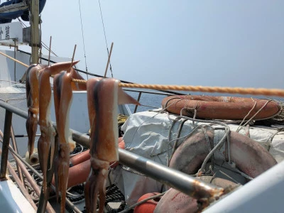 渡辺丸の2025年8月25日(月)1枚目の写真