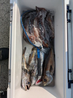 渡辺丸の2025年8月26日(火)1枚目の写真